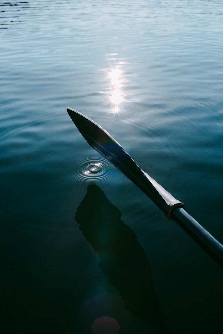 Paddle board paddle in the water.